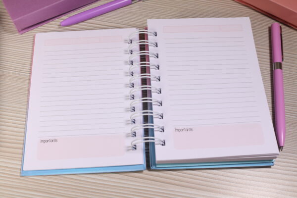mini libreta interior